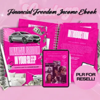 Financial Freedom In Your Sleep MRR Template D.I.Y Digital Book